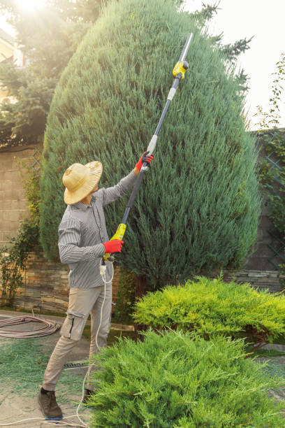 Best Lawn Watering Services  in Laurel Hollow, NY